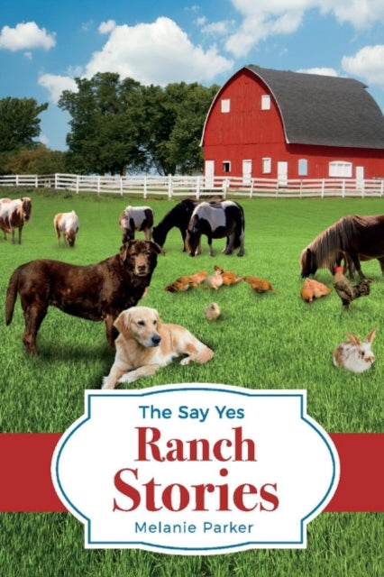 Say Yes Ranch Stories