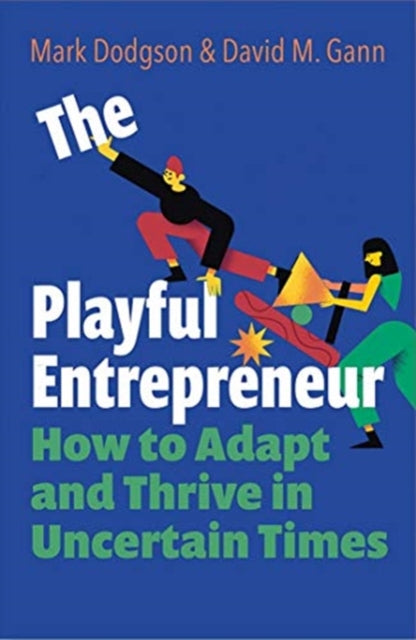 Playful Entrepreneur: How to Adapt and Thrive in Uncertain Times