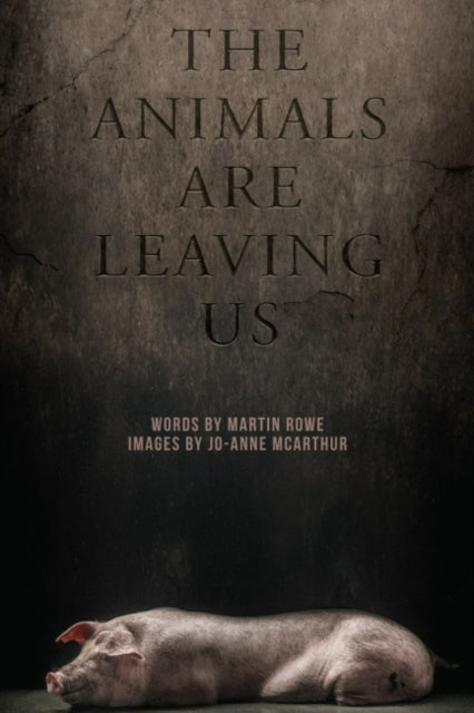 Animals are Leaving Us