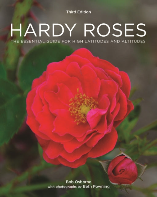 Hardy Roses: The Essential Guide for High Latitudes and Altitudes