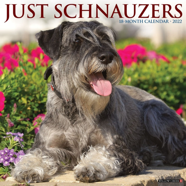 Just Schnauzers 2022 Wall Calendar (Dog Breed)
