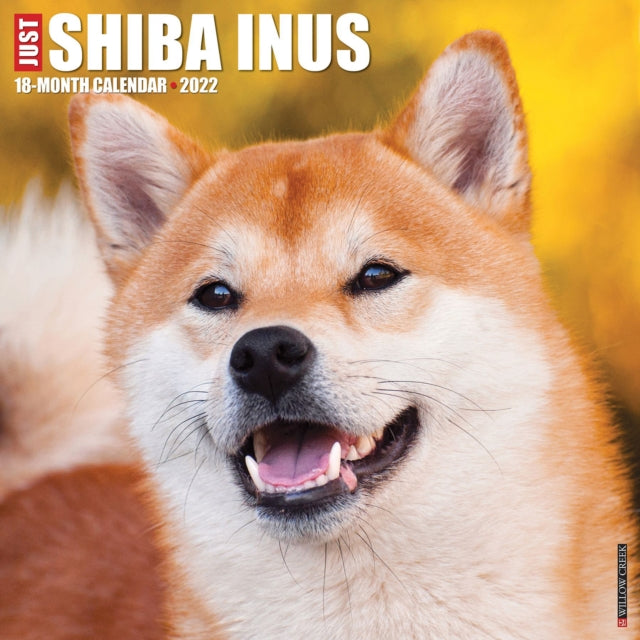 Just Shiba Inus 2022 Wall Calendar (Dog Breed)