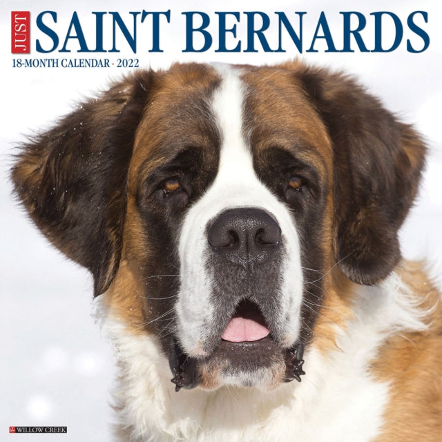 Just Saint Bernards 2022 Wall Calendar (Dog Breed)