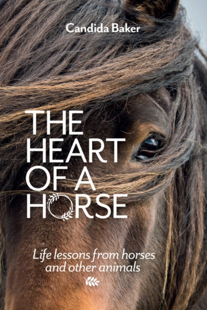 Heart of a Horse: Life lessons from horses and other animals