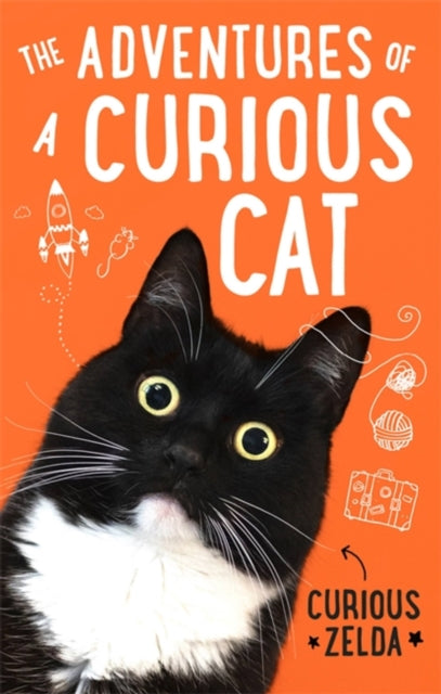 Adventures of a Curious Cat: wit and wisdom from Curious Zelda, purrfect for cats and their humans