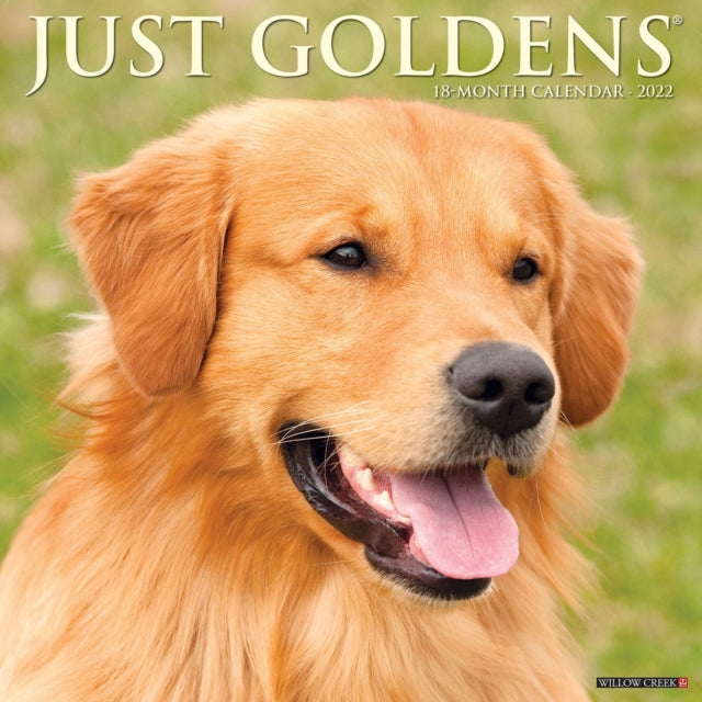 Just Goldens 2022 Wall Calendar (Golden Retriever Dogs, Dog Breed)