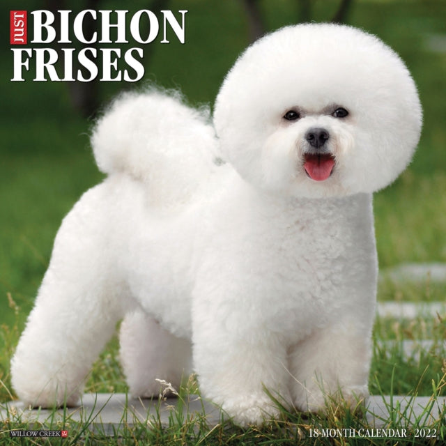 Just Bichons Frises 2022 Wall Calendar (Dog Breed)