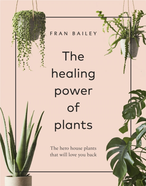 Healing Power of Plants: The Hero House Plants that Love You Back
