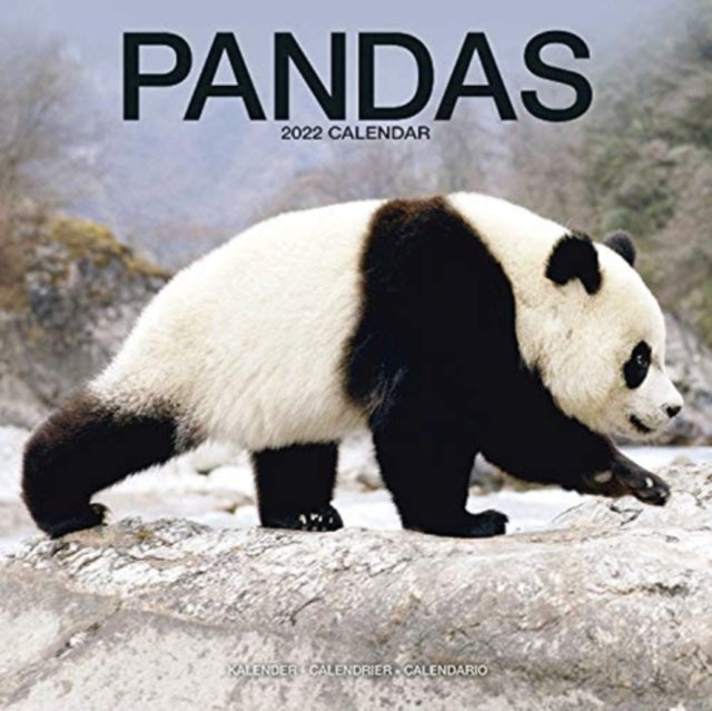 Pandas 2022 Wall Calendar