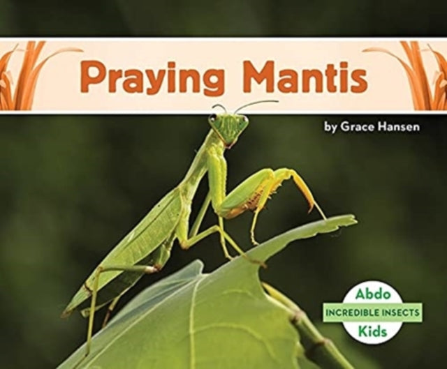 Incredible Insects: Praying Mantis