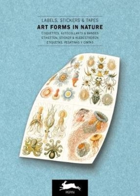 Art Forms in Nature: Label & Sticker Book