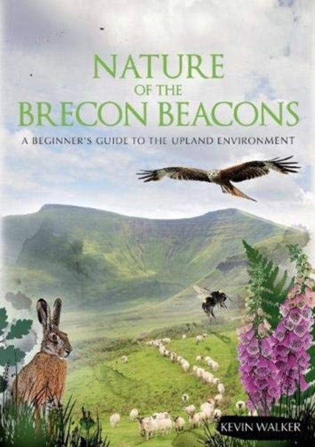 Nature of the Brecon Beacons: A Beginners Guide to the Upland Environment