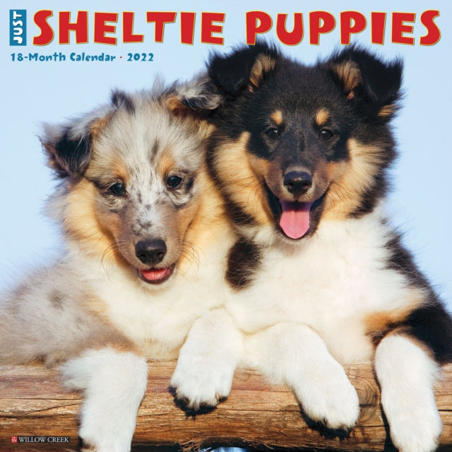 Just Sheltie Puppies 2022 Wall Calendar (Dog Breed)
