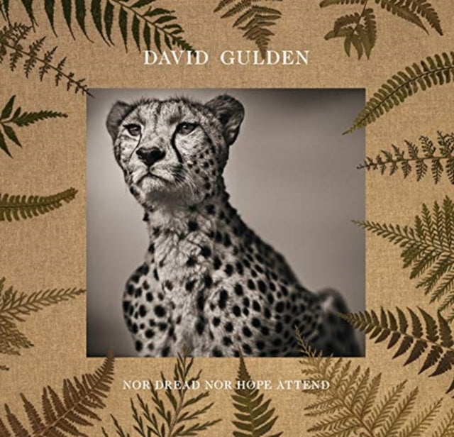 David Gulden: Nor Dread Nor Hope Attend: Photographs From The Plains of Africa