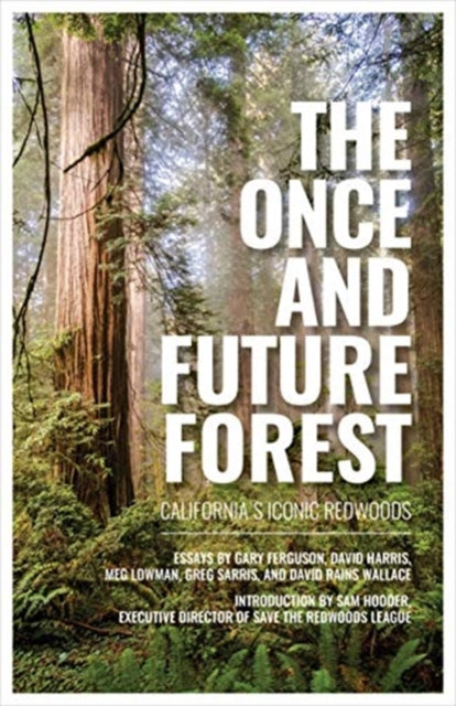 Once and Future Forest: California's Iconic Redwoods