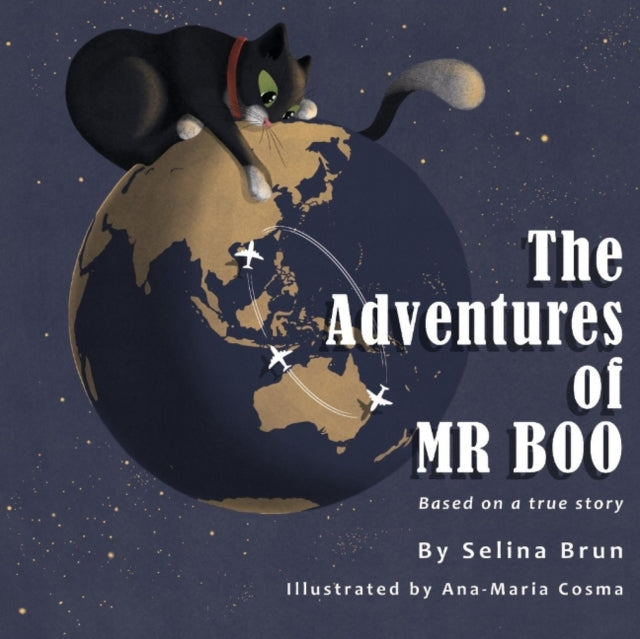 Adventures of Mr Boo