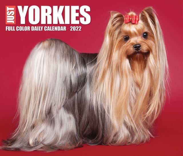 Yorkies 2022 Box Calendar - Dog Breed Daily Desktop