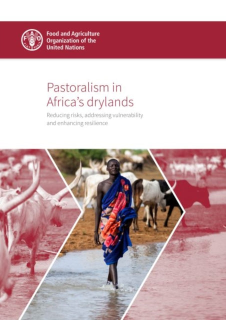 Pastoralism in Africa's drylands: reducing risks, addressing vulnerability and enhancing resilience