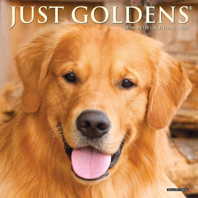 Just Goldens 2022 Mini Wall Calendar - Golden Retriever Dogs and Puppies