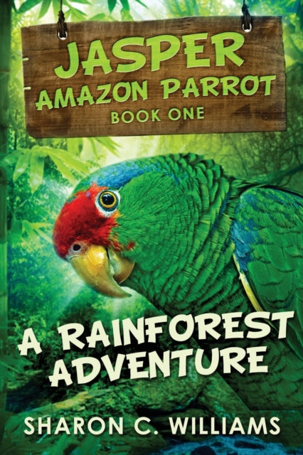 Rainforest Adventure: Large Print Edition