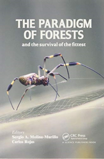 Paradigm of Forests and the Survival of the Fittest