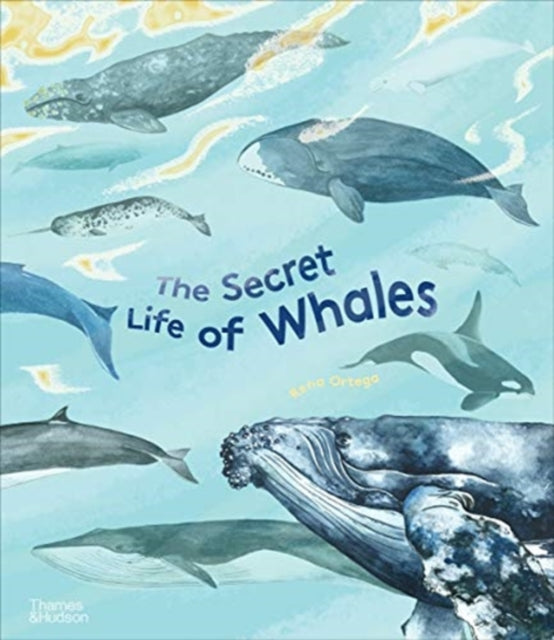 Secret Life of Whales