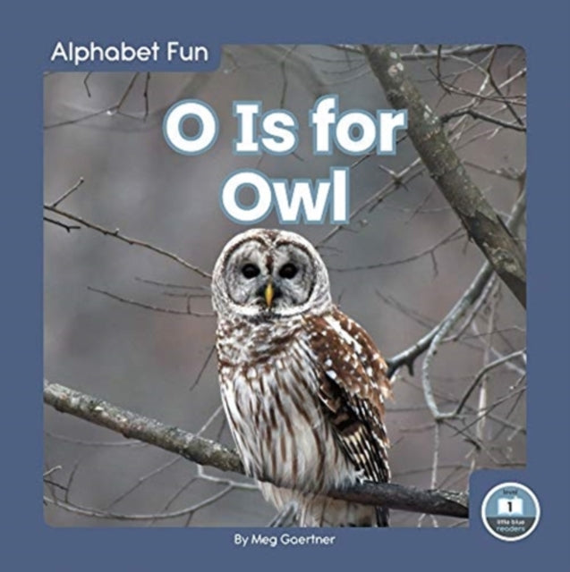 Alphabet Fun: O is for Owl