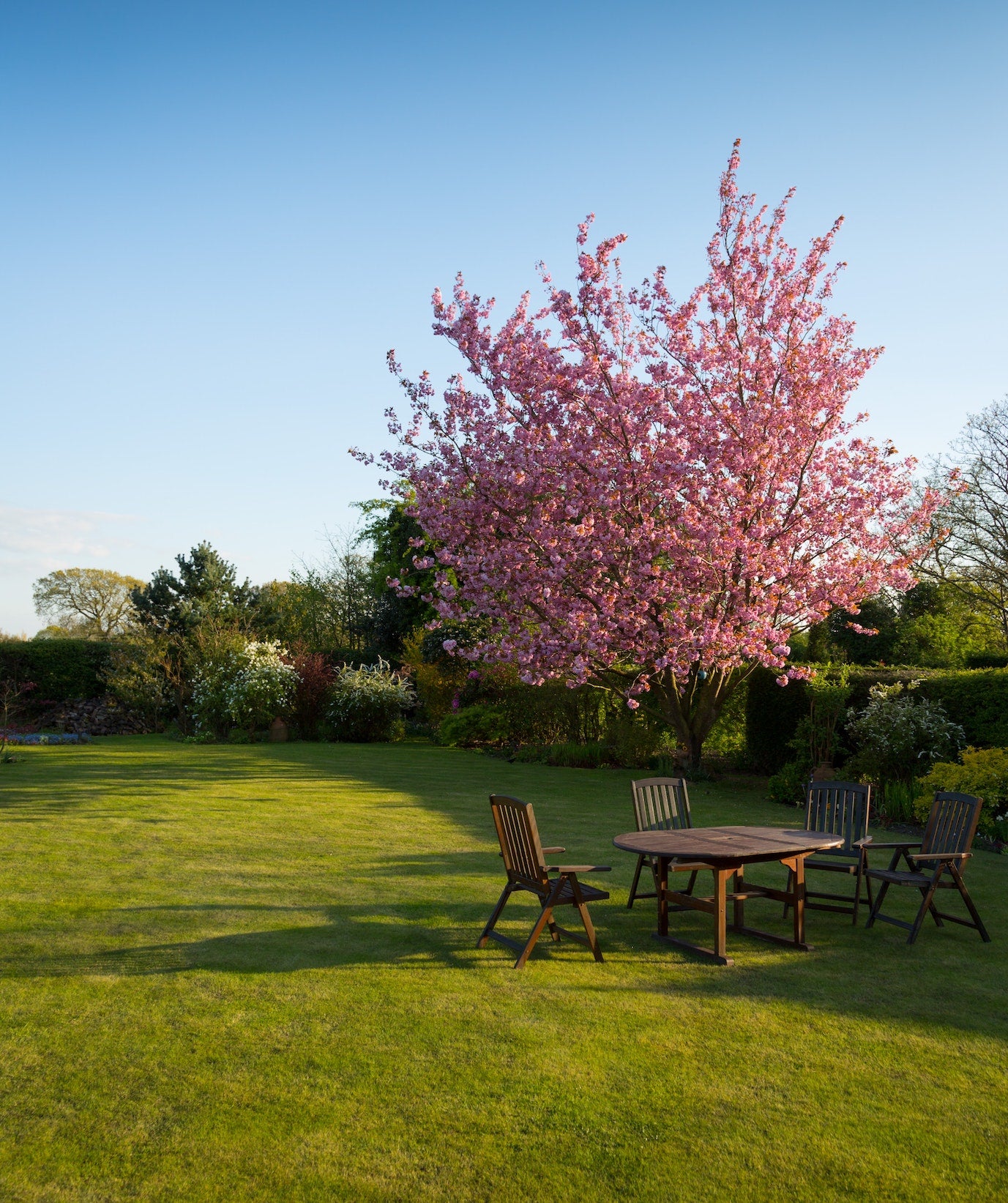 Mit Gartenkorn ist der Garten den ganzen Sommer über dicht und grün