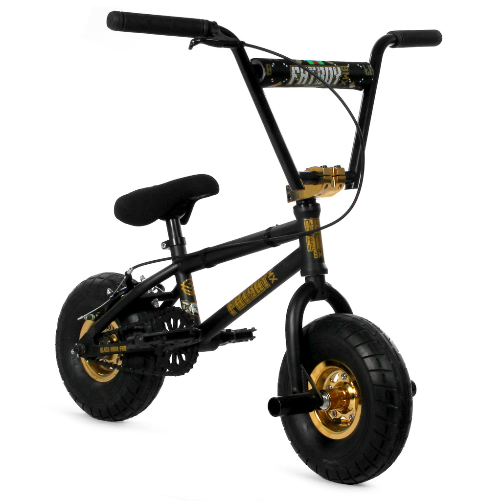 bmx fatboy bike