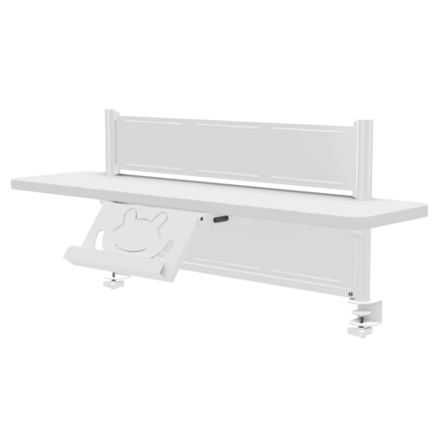 Height and slanted adjustable desk