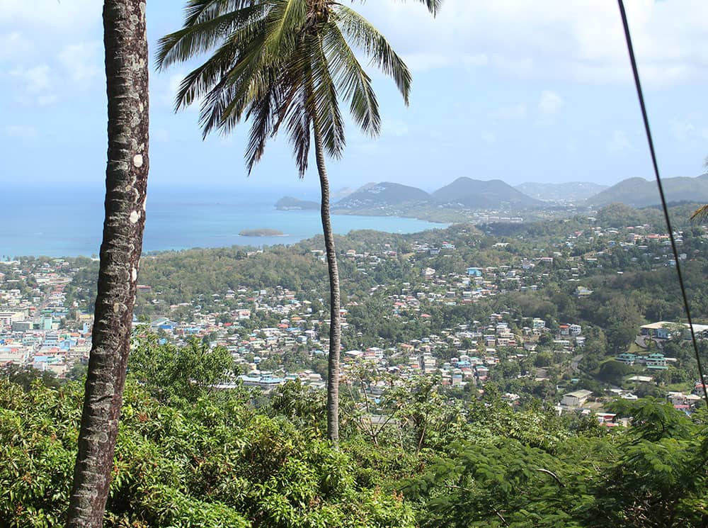 Image of view of Castries, St Lucia from above with palm trees in the foreground and mountains in the background.
