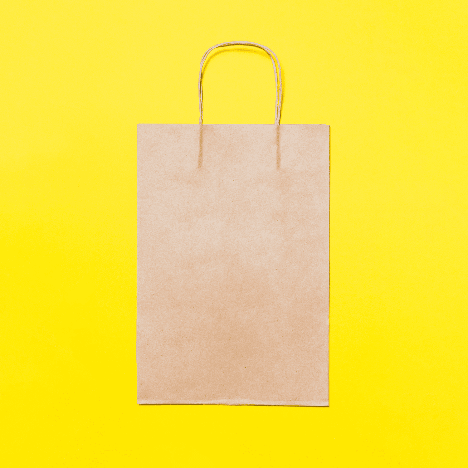 brown kraft paper party bag with handles