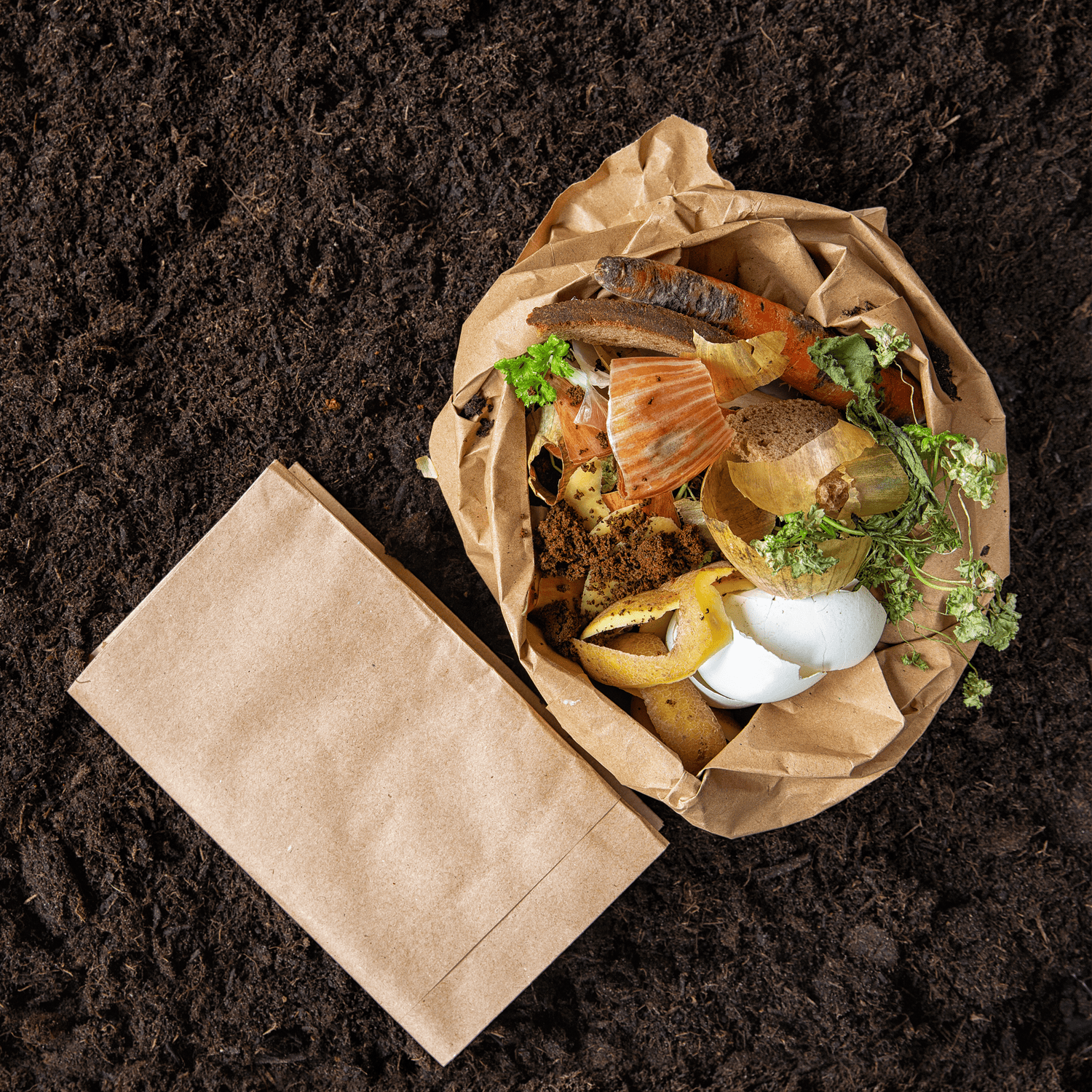 Brown paper bag used for composting