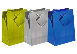 Holographic Gift Bags