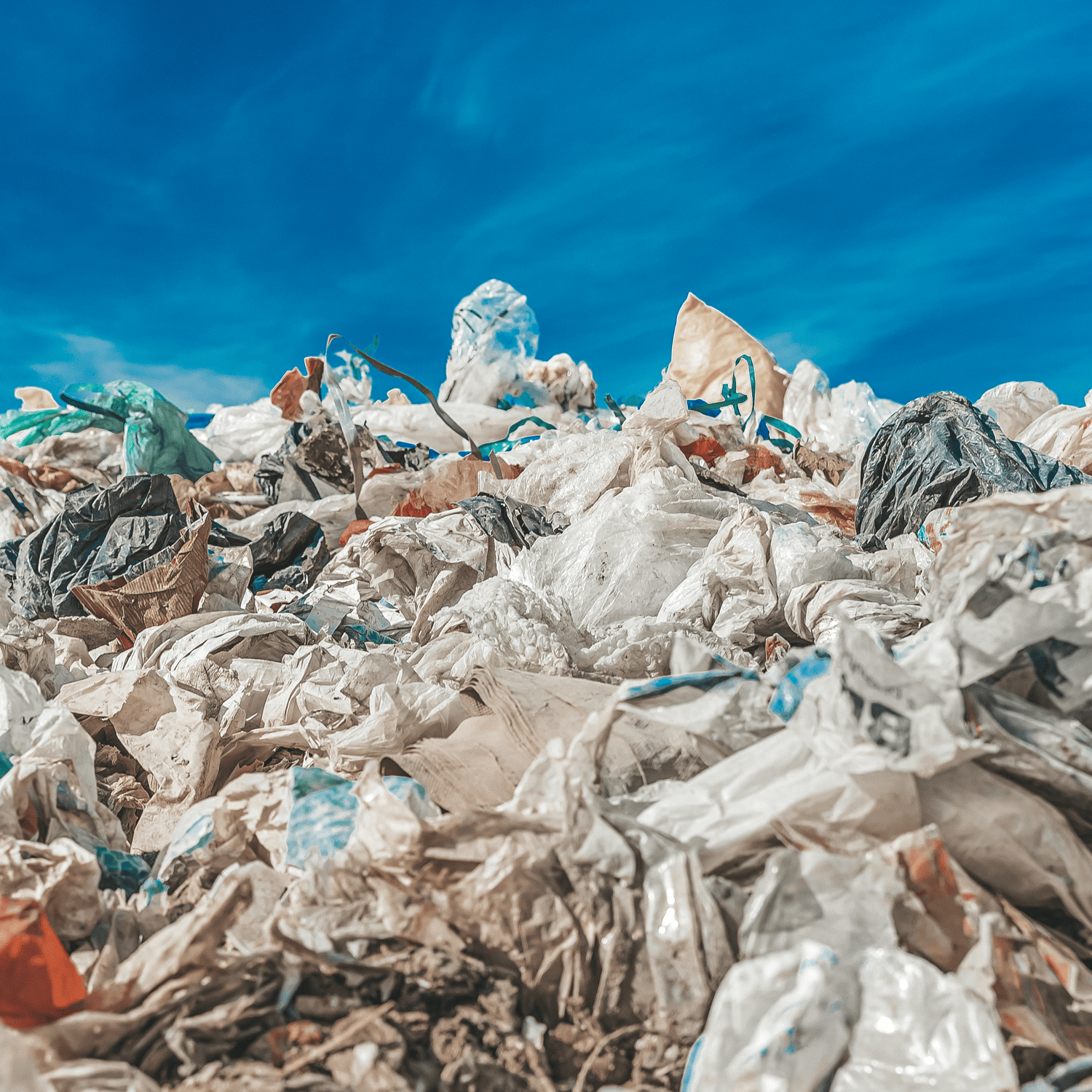 Plastic Bags vs Kraft Paper Bag Recycling
