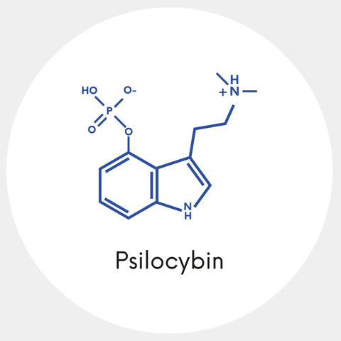 psilocybin molecule as info for tripping and microdosing
