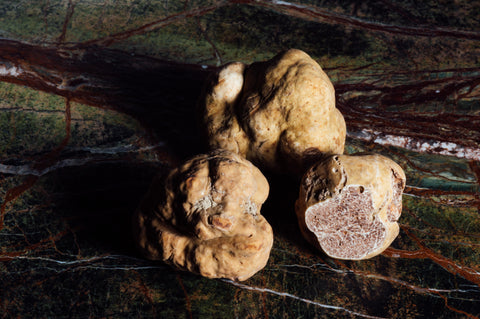 Trufas, Amsterdam, Países Bajos, Envío Gratis, Psilocybe, Psilocibine, Smartshop, Historia de las trufas, Microdosing, Tripping, Crecimiento interno, Tienda de salud, Medicinal, Terapéutica, Mexicana, Sclerotia, Tampanensis, Atlntis, Dragón, Galindoii, 15 gramos, 10 gramos