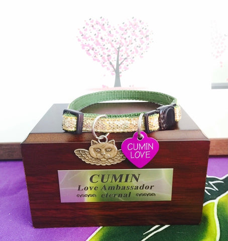 wooden box with pet collar on it, wall art of heart-shaped tree in background