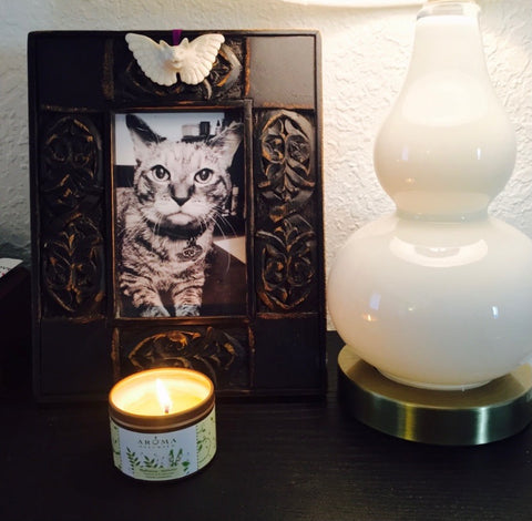 black and white photo of cat in frame next to lamp and lit candle