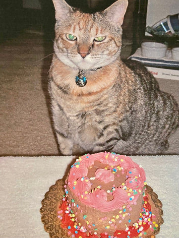 Cumin sitting with a birthday cake