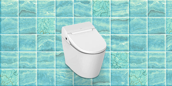 Hygiene and Health Benefits: Why Smart Bidet Toilet Outperforms Traditional Toilet