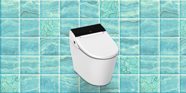 Future of Toilets: Smart Bidet Toilet and Traditional Toilet in the 21st Century