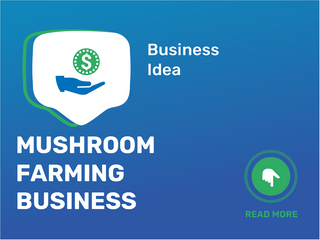 Mushroom Farming Business