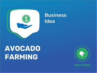 Avocado Farming