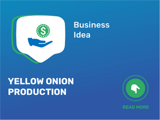 Yellow Onion Production