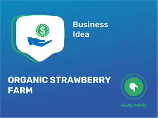 Organic Strawberry Farm