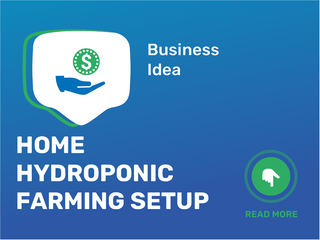 Home Hydroponic Farming Setup