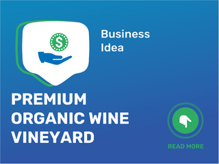 Premium Organic Wine Vineyard