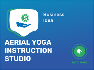 Aerial Yoga Instruction Studio