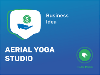 Aerial Yoga Studio